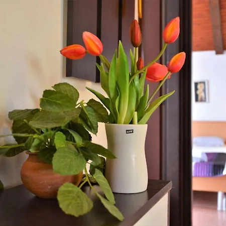 Apartmán In - Insel 41706